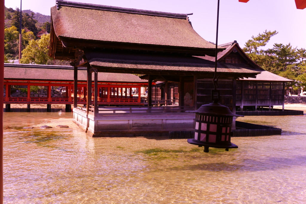 宮島②