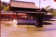 宮島②