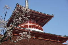 成田駅新勝寺