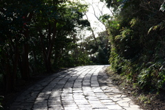 観音崎公園