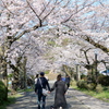 小田原城の桜