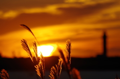 いつかの夕日　　２　　秋の気配