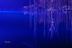紺碧の池