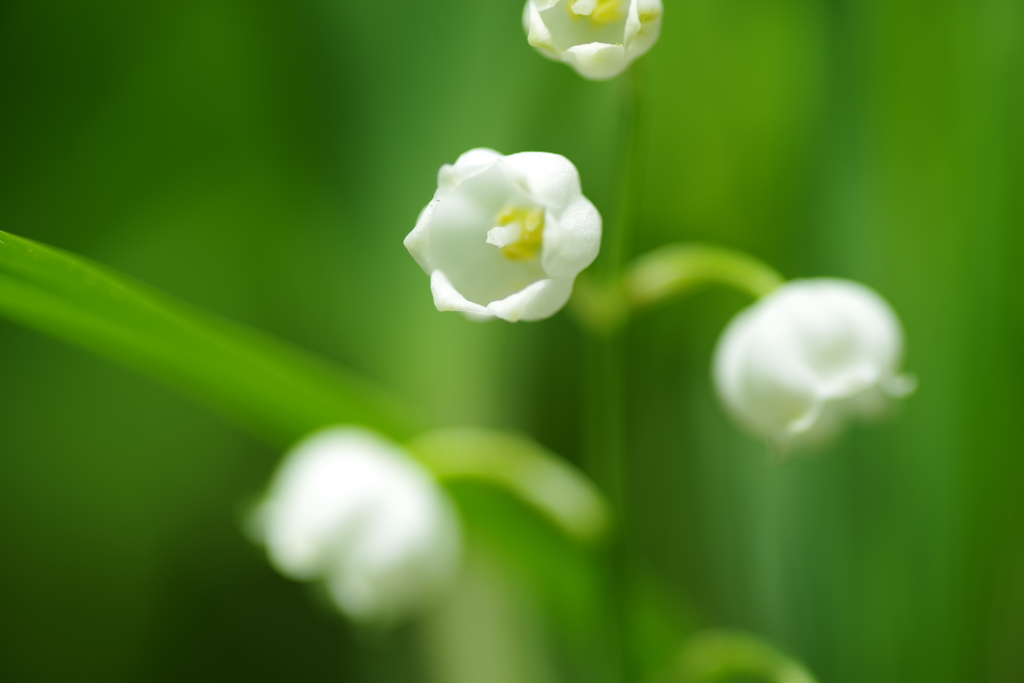 横向き