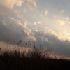淡い色で暮れていく