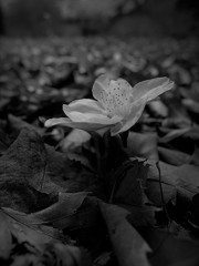 時