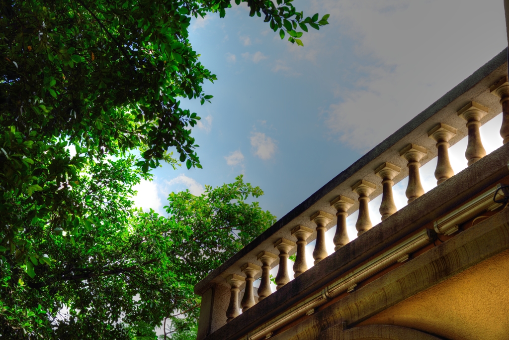 夏の哥臚士洋行