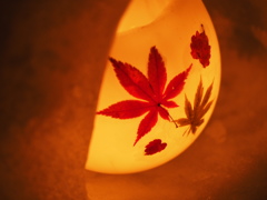 灯る