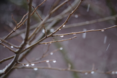 雨かぁ…