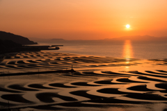 干潟の夕日