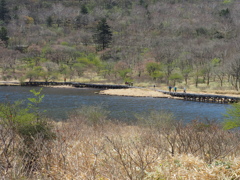 覚満淵湿原7