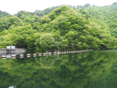 妙義湖1