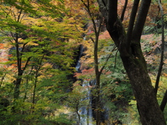 大滝4