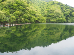 妙義湖2