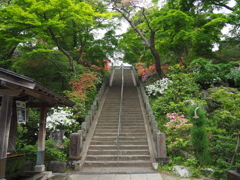 達磨寺3