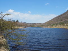 覚満淵湿原3