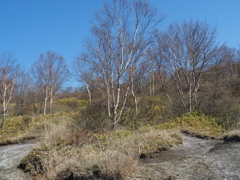 小沼4