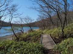 小沼6