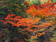大滝2