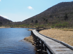 覚満淵湿原2