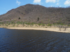 覚満淵湿原5