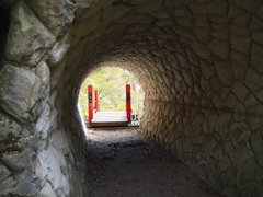 けさかけ橋3