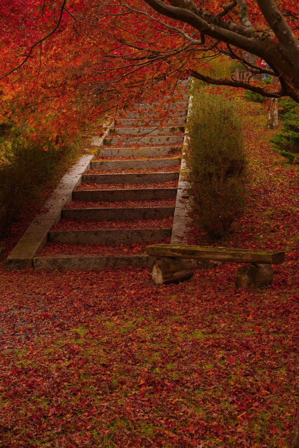 丹波市高源寺