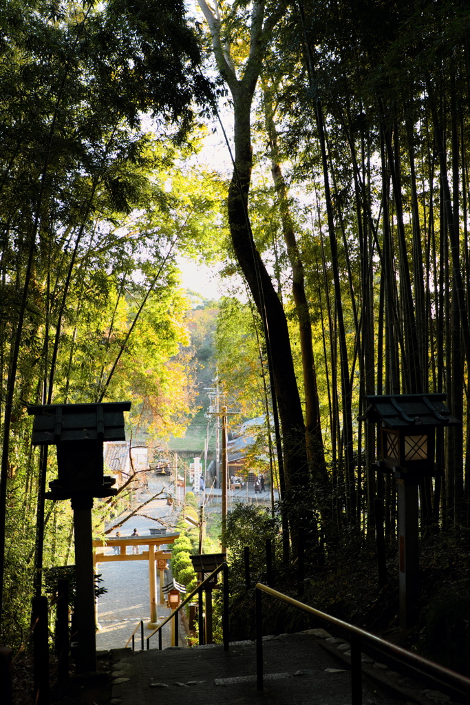 53、晩秋の三輪明神　大神神社