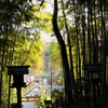 53、晩秋の三輪明神　大神神社