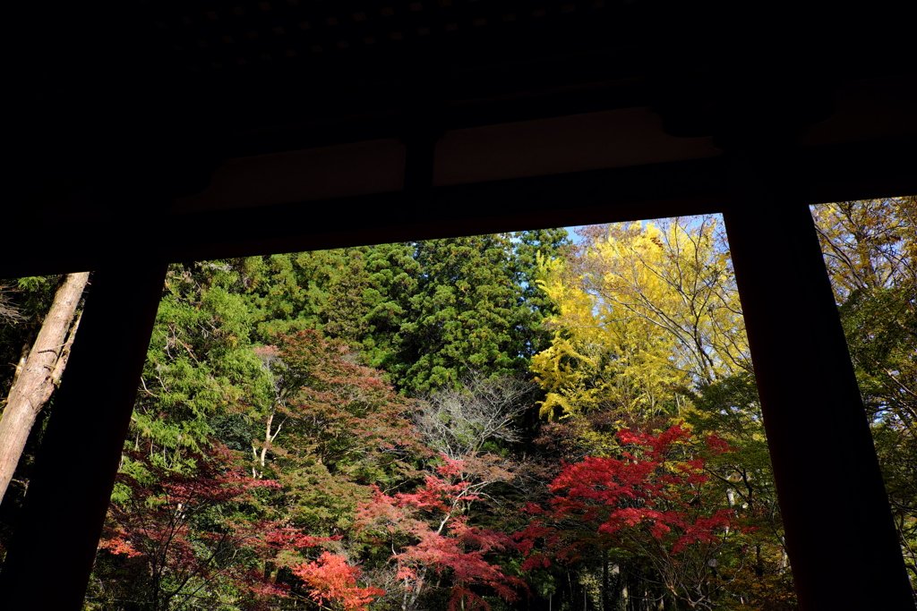 10、女人高野　晩秋の室生寺