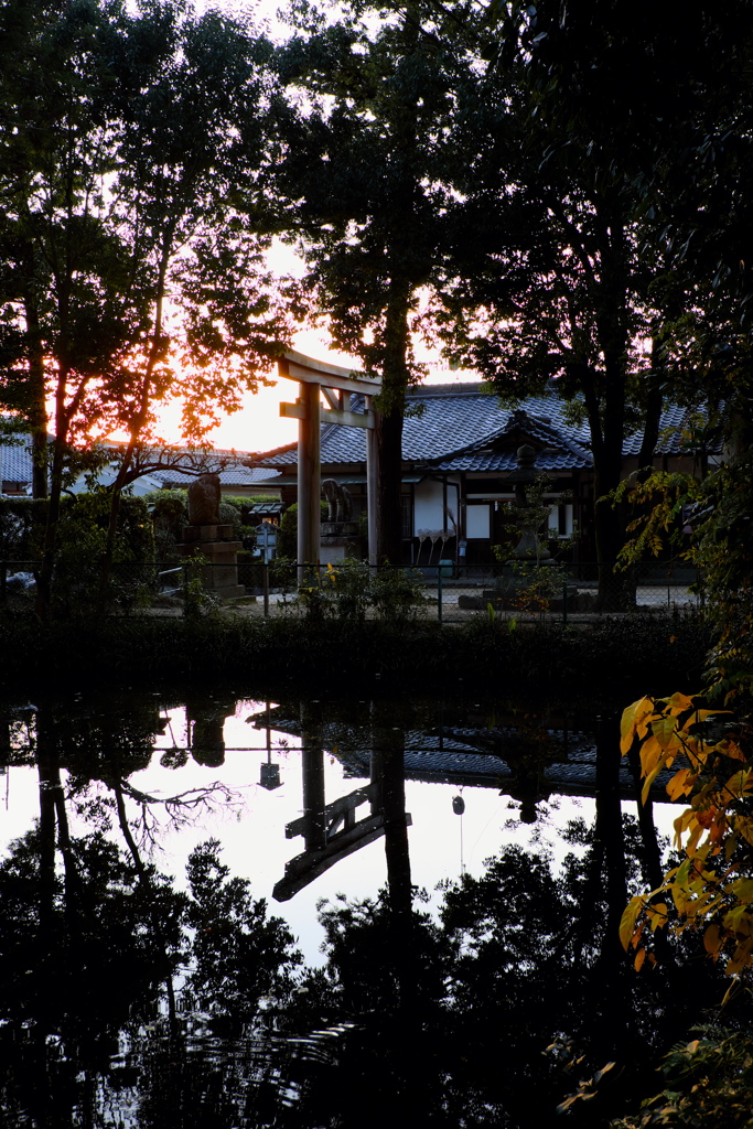 71、晩秋の三輪明神　大神神社