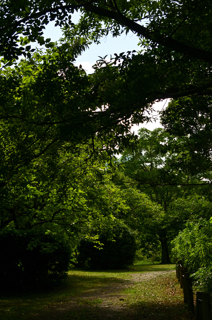 馬見丘陵公園にて