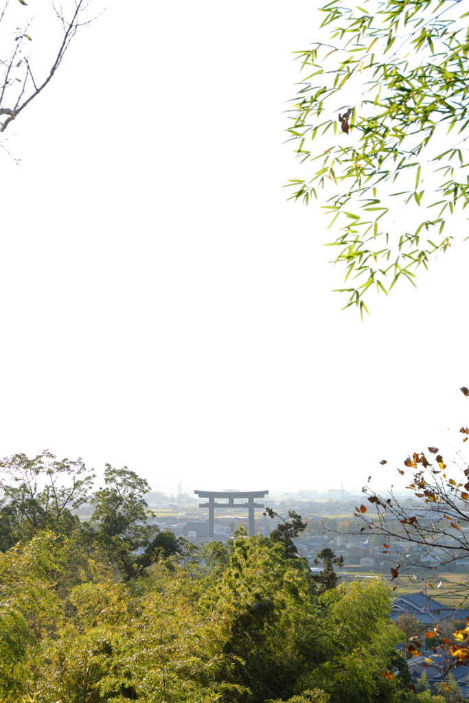 50、晩秋の三輪明神　大神神社