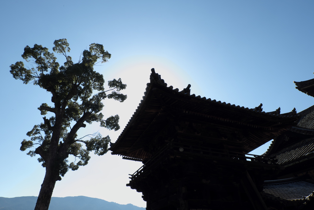 64、晩秋の真言宗豊山派総本山 長谷寺