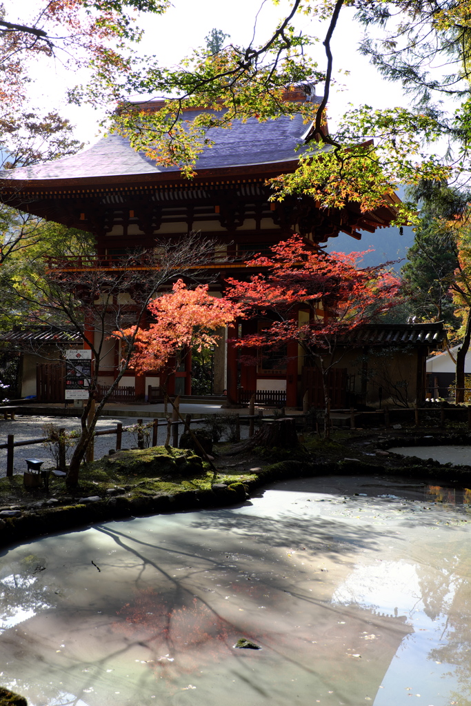 14、女人高野　晩秋の室生寺