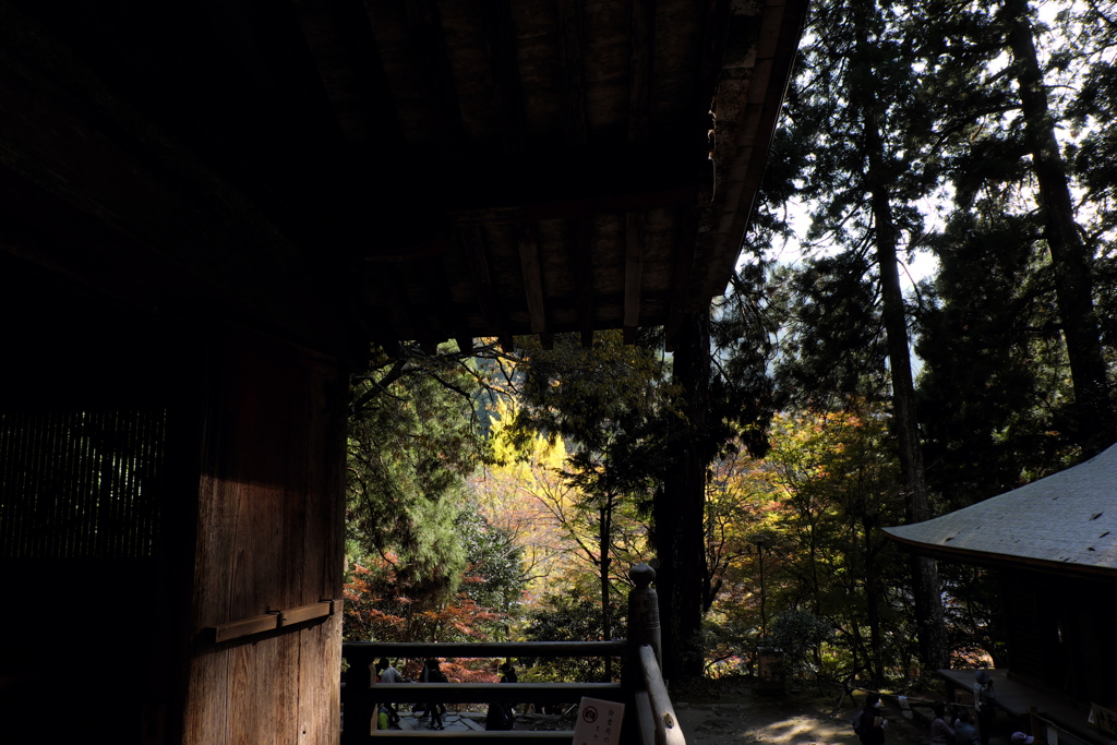 21、女人高野　晩秋の室生寺