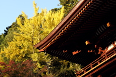 61、女人高野　晩秋の室生寺