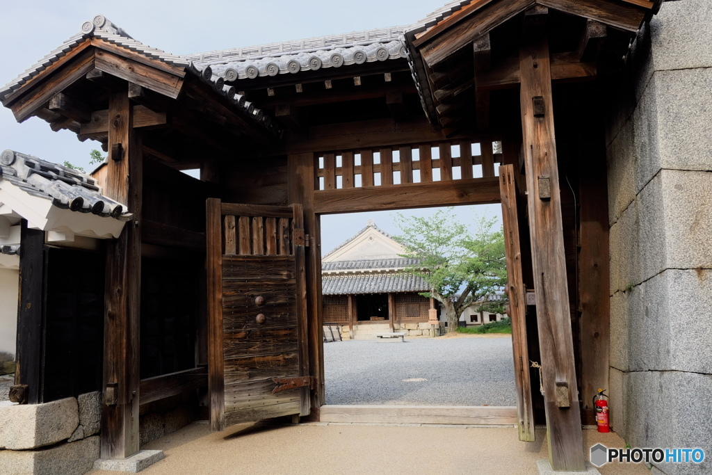 愛媛県 松山城 L