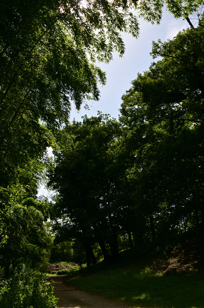 馬見丘陵公園