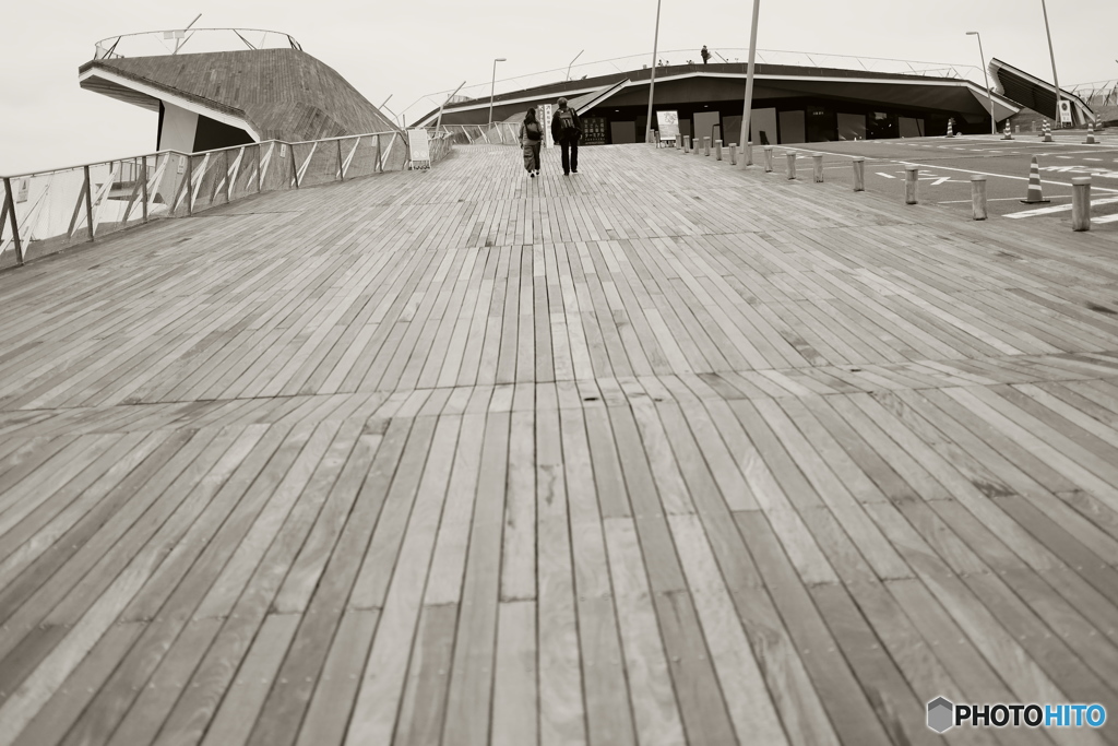 Yokohama Snapshot S
