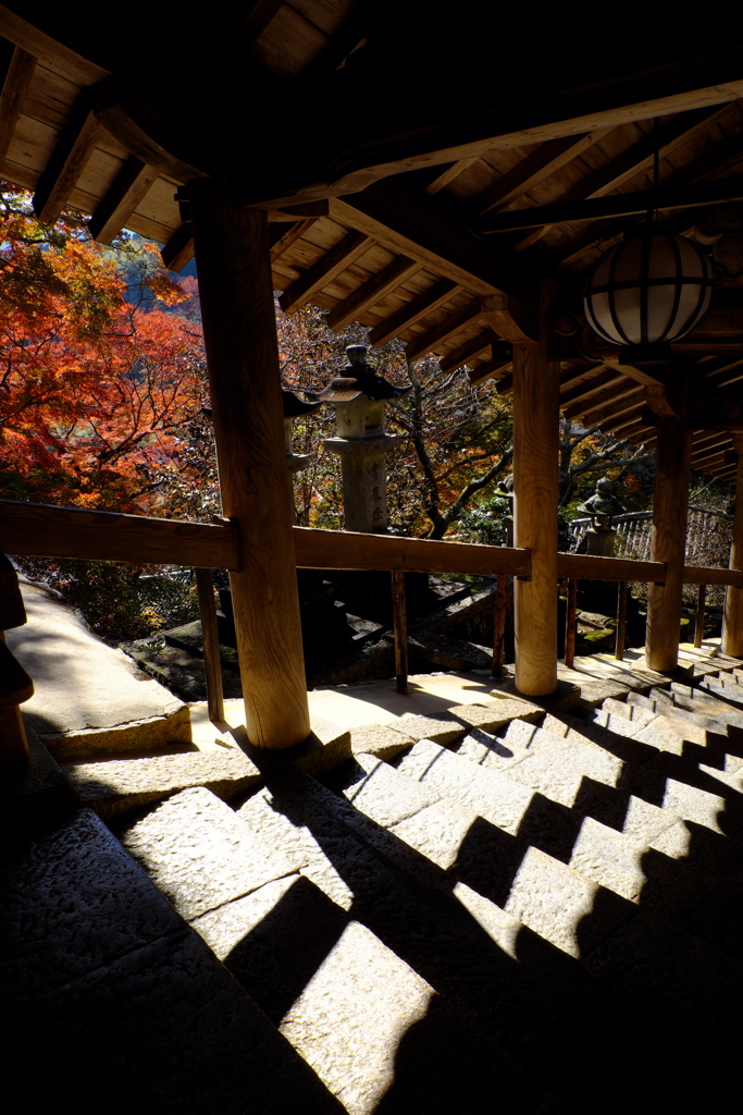 46、晩秋の真言宗豊山派総本山 長谷寺