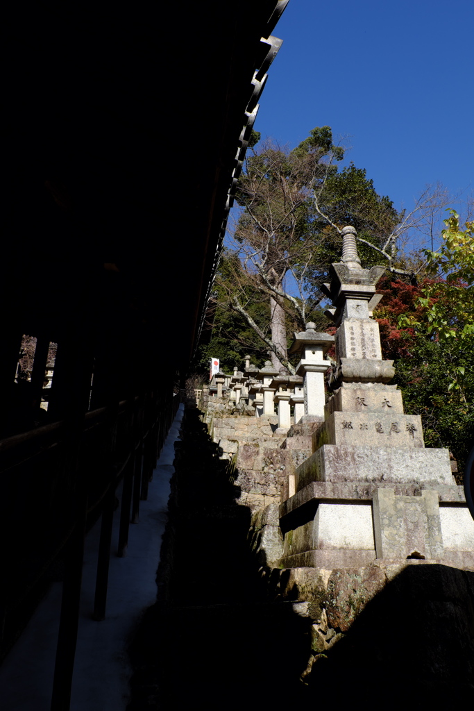 40、晩秋の真言宗豊山派総本山 長谷寺