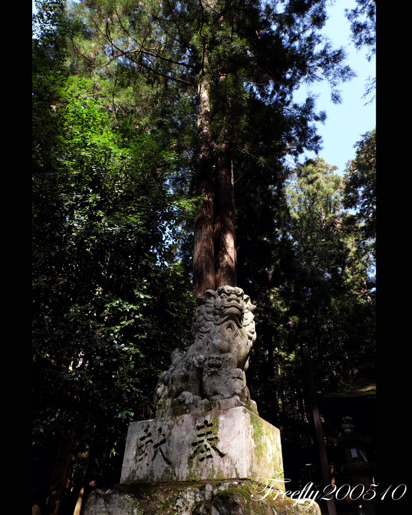 32、初秋の室生龍穴神社