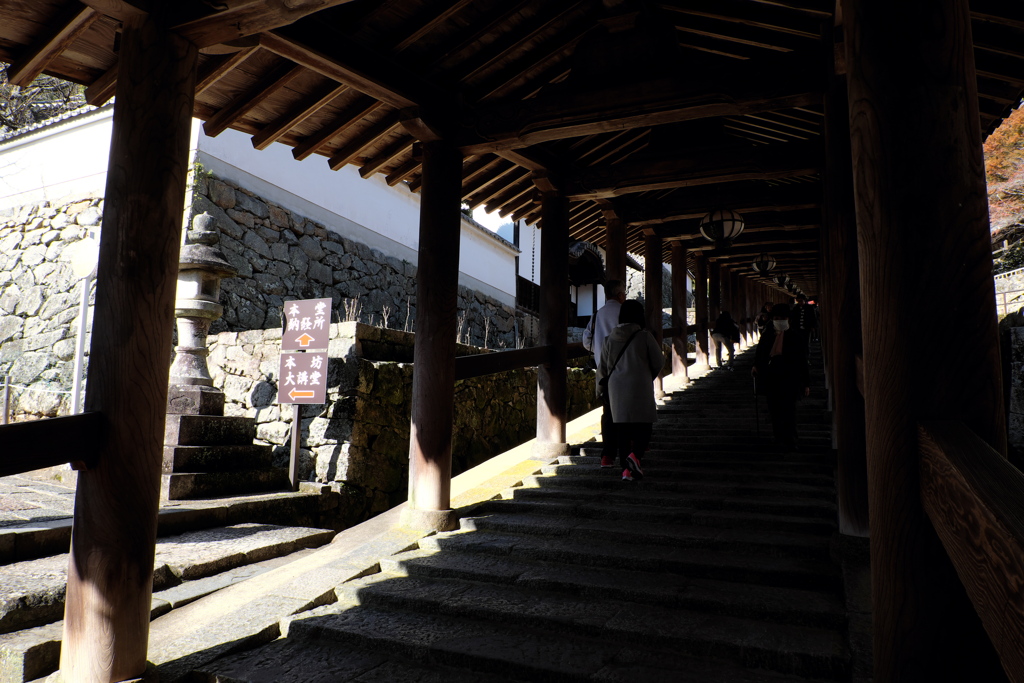 14、晩秋の真言宗豊山派総本山 長谷寺
