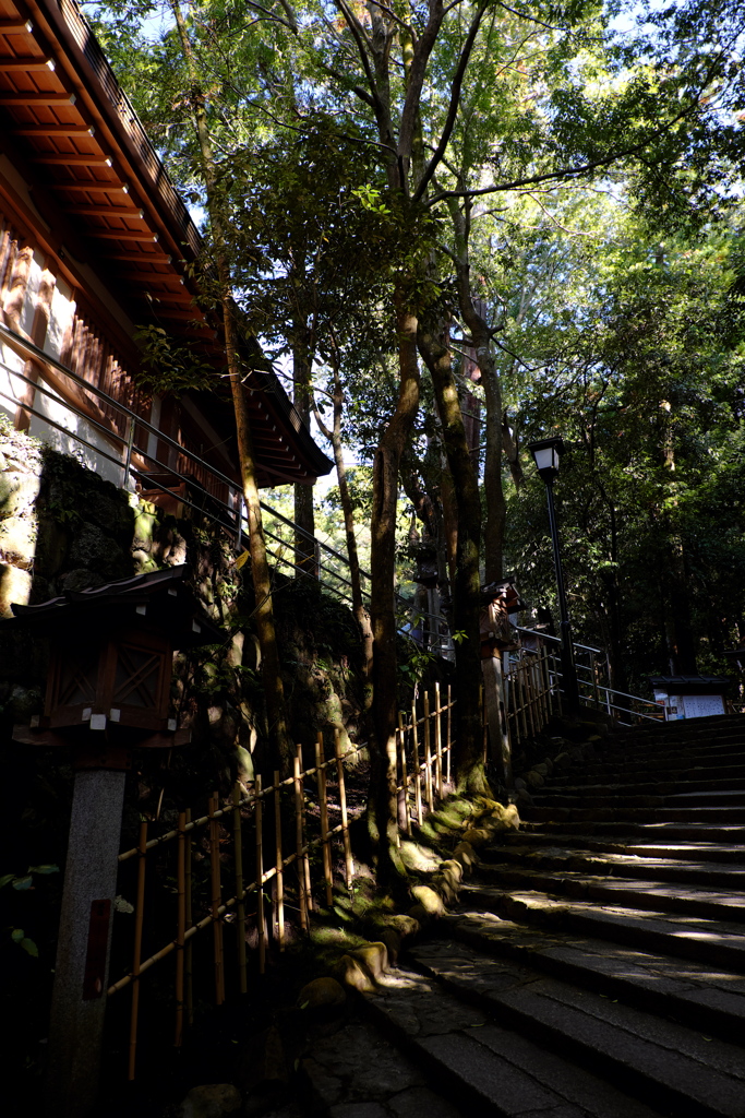 13、晩秋の三輪明神　大神神社