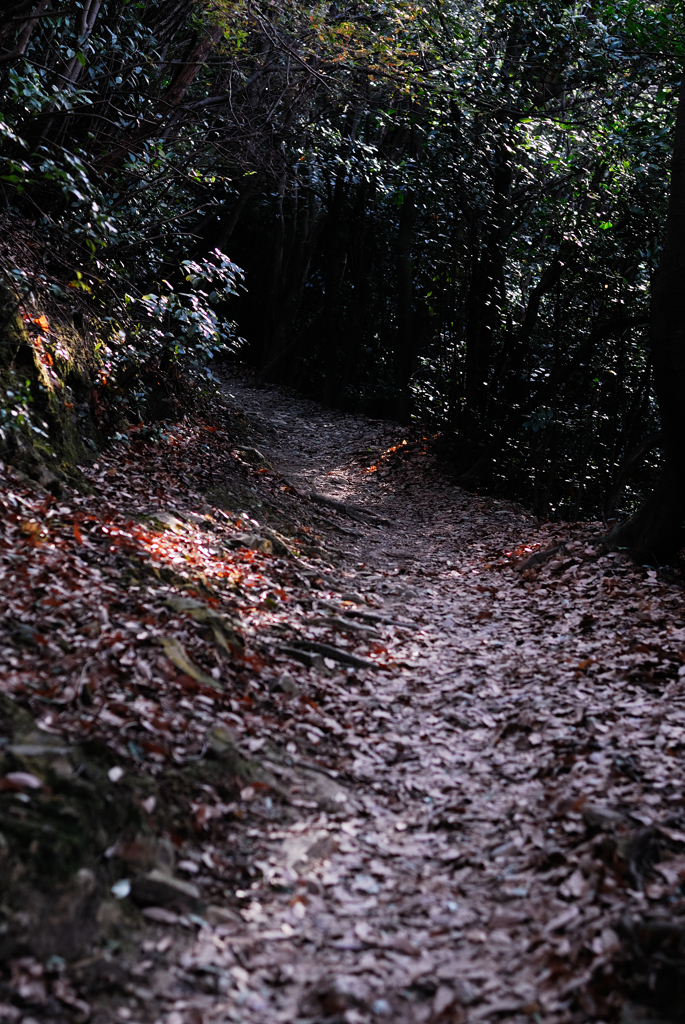 新春 畝傍山 登山－2022－