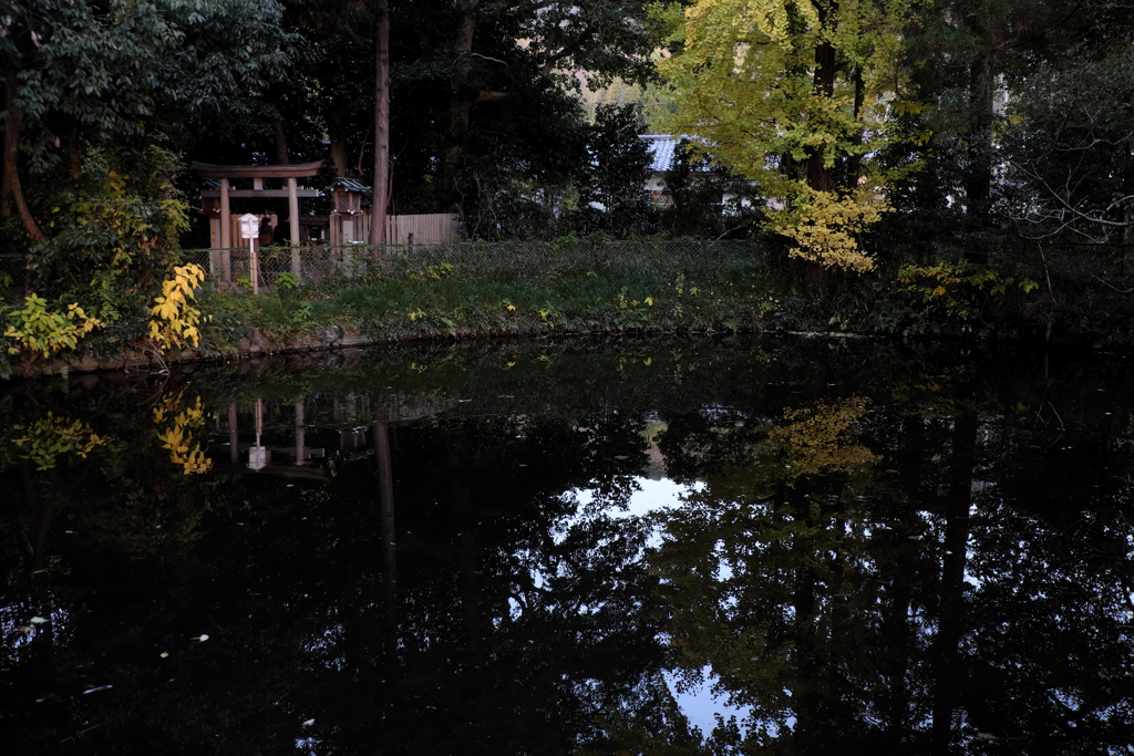 68、晩秋の三輪明神　大神神社