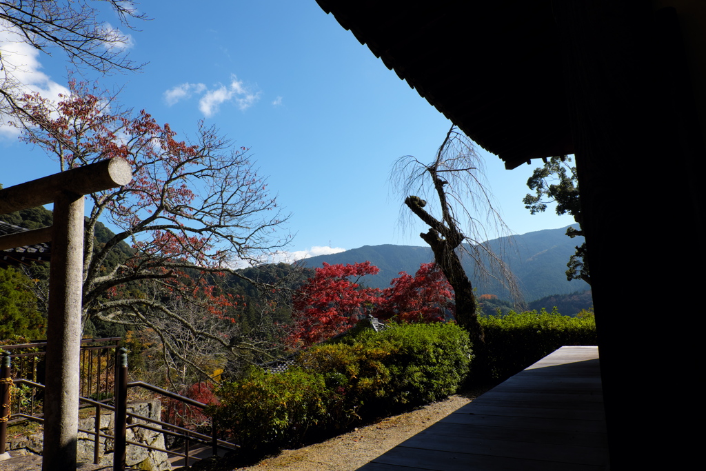 73、晩秋の真言宗豊山派総本山 長谷寺