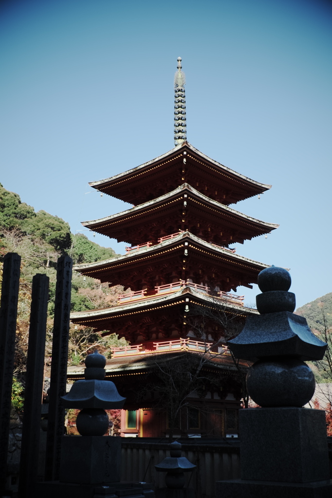 115、晩秋の真言宗豊山派総本山 長谷寺
