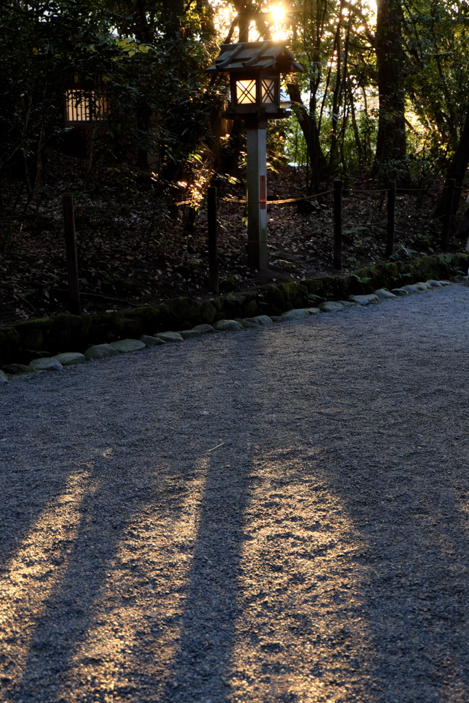 60、晩秋の三輪明神　大神神社